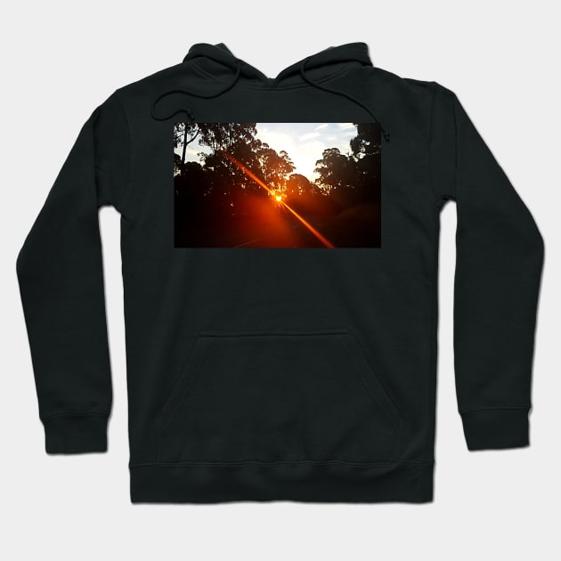 Sunset Through the Trees, Stawell Hoodie by AstroRisq